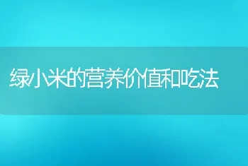 绿小米的营养价值和吃法