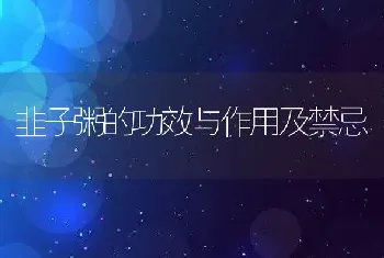 韭子粥的功效与作用及禁忌