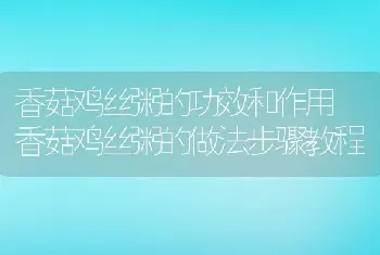 香菇鸡丝粥的功效和作用 香菇鸡丝粥的做法步骤教程