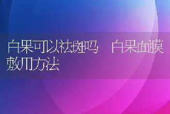 白果可以祛斑吗 白果面膜敷用方法