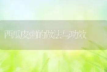 西瓜皮粥的做法与功效