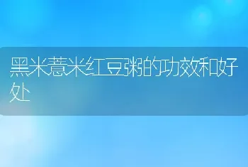 黑米薏米红豆粥的功效和好处