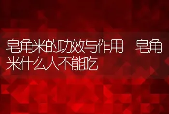 皂角米的功效与作用 皂角米什么人不能吃