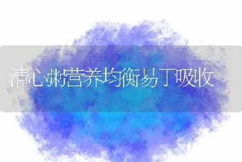 清心粥营养均衡易于吸收