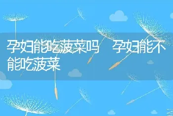 孕妇能吃菠菜吗 孕妇能不能吃菠菜