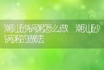 潮汕砂锅粥怎么做 潮汕砂锅粥的做法