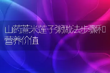 山药薏米莲子粥做法步骤和营养价值