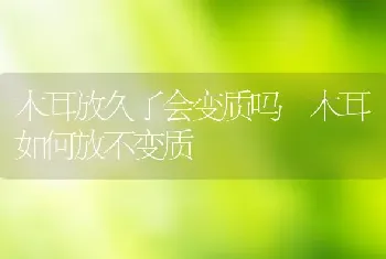 木耳放久了会变质吗 木耳如何放不变质