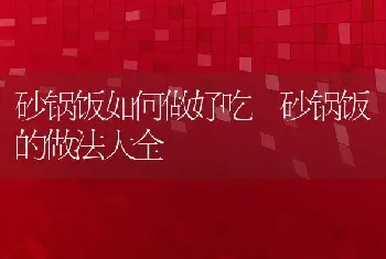 砂锅饭如何做好吃 砂锅饭的做法大全