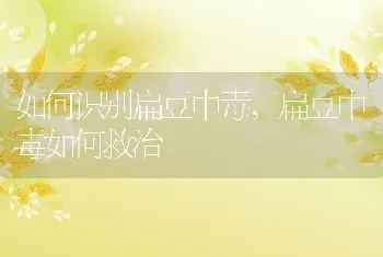 如何识别扁豆中毒,扁豆中毒如何救治