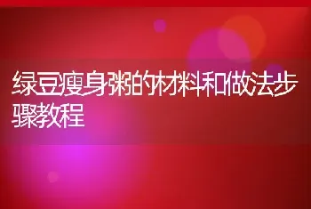 绿豆瘦身粥的材料和做法步骤教程