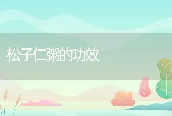 松子仁粥的功效