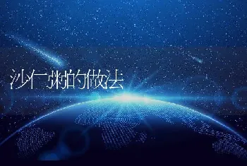 沙仁粥的做法