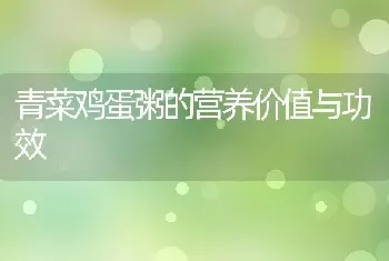 青菜鸡蛋粥的营养价值与功效