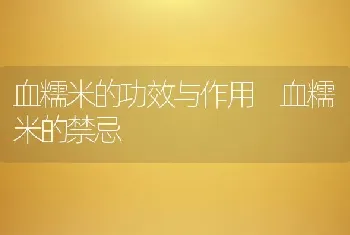 血糯米的功效与作用 血糯米的禁忌