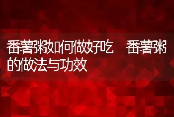 番薯粥如何做好吃 番薯粥的做法与功效