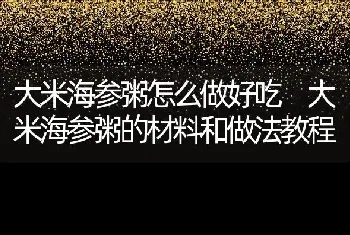 大米海参粥怎么做好吃 大米海参粥的材料和做法教程