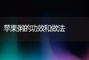 苹果粥的功效和做法