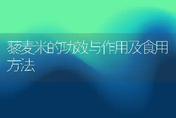 藜麦米的功效与作用及食用方法