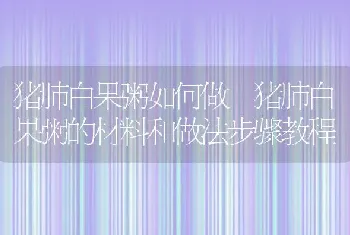 猪肺白果粥如何做 猪肺白果粥的材料和做法步骤教程