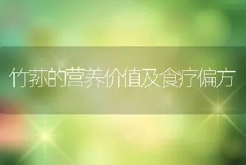 竹荪的营养价值及食疗偏方