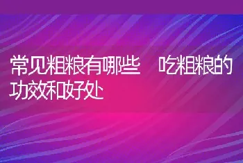 常见粗粮有哪些 吃粗粮的功效和好处