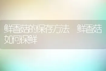 鲜香菇的保存方法 鲜香菇如何保鲜