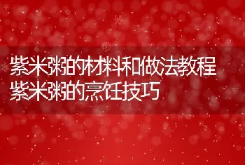 紫米粥的材料和做法教程 紫米粥的烹饪技巧