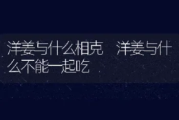 洋姜与什么相克 洋姜与什么不能一起吃