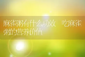 麻雀粥有什么功效 吃麻雀粥的营养价值