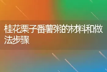 桂花栗子番薯粥的材料和做法步骤