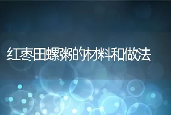 红枣田螺粥的材料和做法