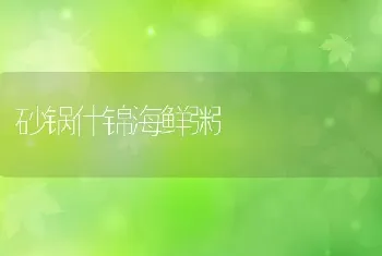 砂锅什锦海鲜粥