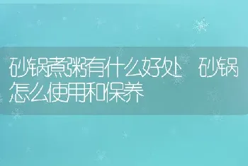 砂锅煮粥有什么好处 砂锅怎么使用和保养