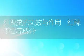 红稗羹的功效与作用 红稗羹营养成分