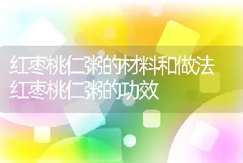 红枣桃仁粥的材料和做法 红枣桃仁粥的功效