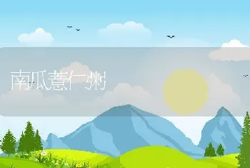 南瓜薏仁粥