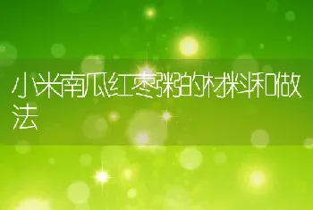 小米南瓜红枣粥的材料和做法