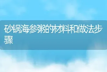 砂锅海参粥的材料和做法步骤