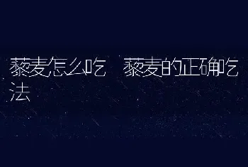 藜麦怎么吃 藜麦的正确吃法