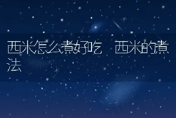 西米怎么煮好吃 西米的煮法