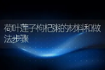 荷叶莲子枸杞粥的材料和做法步骤