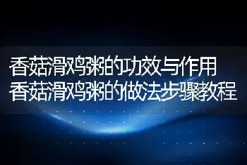 香菇滑鸡粥的功效与作用 香菇滑鸡粥的做法步骤教程