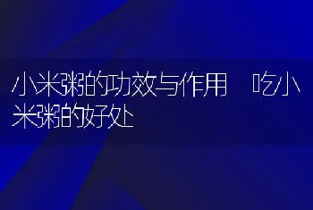 小米粥的功效与作用 吃小米粥的好处