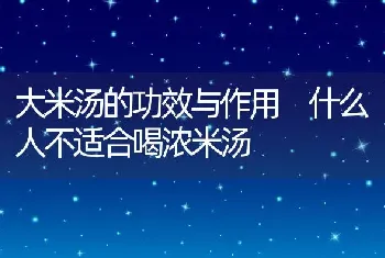 大米汤的功效与作用 什么人不适合喝浓米汤