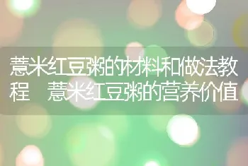 薏米红豆粥的材料和做法教程 薏米红豆粥的营养价值