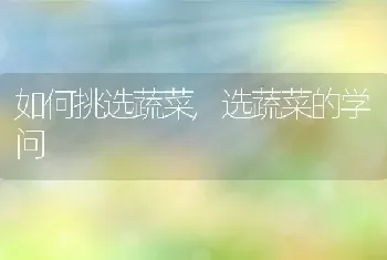 如何挑选蔬菜,选蔬菜的学问