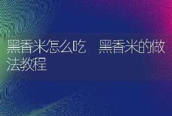 黑香米怎么吃 黑香米的做法教程