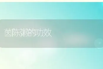 茵陈粥的功效