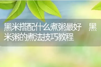 黑米搭配什么煮粥最好 黑米粥的煮法技巧教程